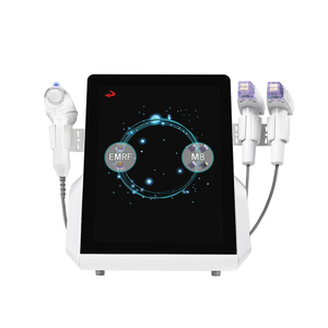 3 in 1 EMRF M8+Ice Hammer Gold Fractional Micro-needle Beauty Machine