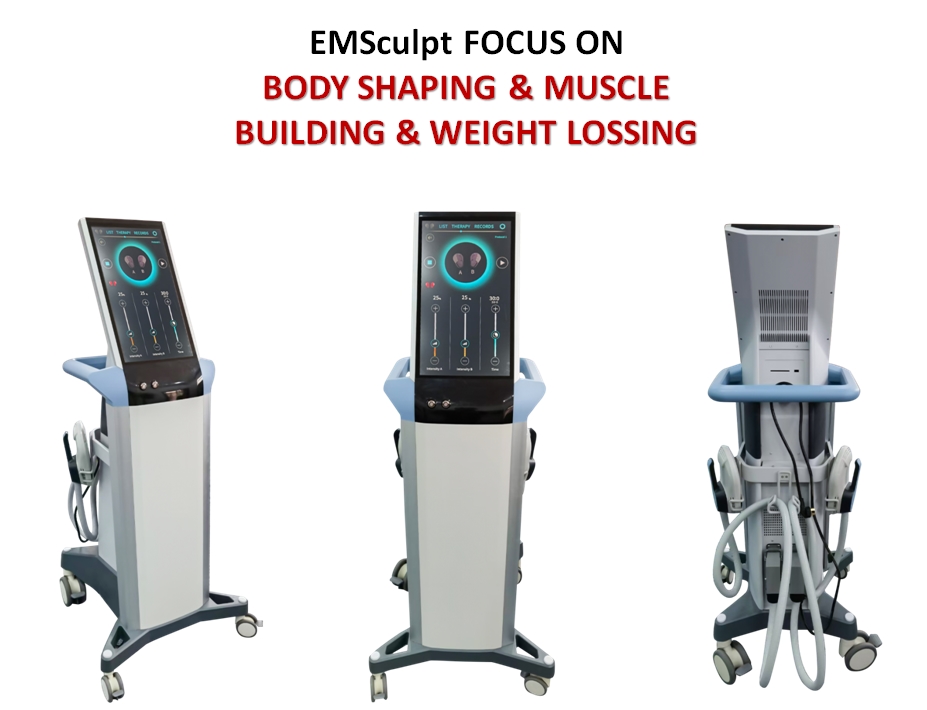 BTL EMSculpt for Muscle Building and Body Shaping