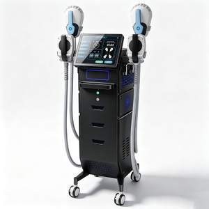 Professional Pelvic Floor Muscle Stimulation Machine