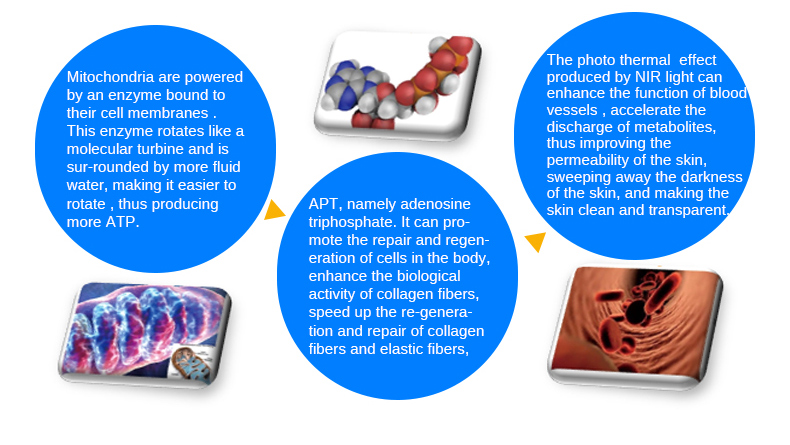 Skin Rejuvenation machine