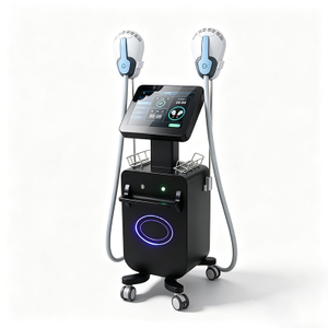 High Intensity Electromagnetic Muscle Stimulation System for Body Sculpting